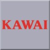 Kawai Keyboard Flight Cases